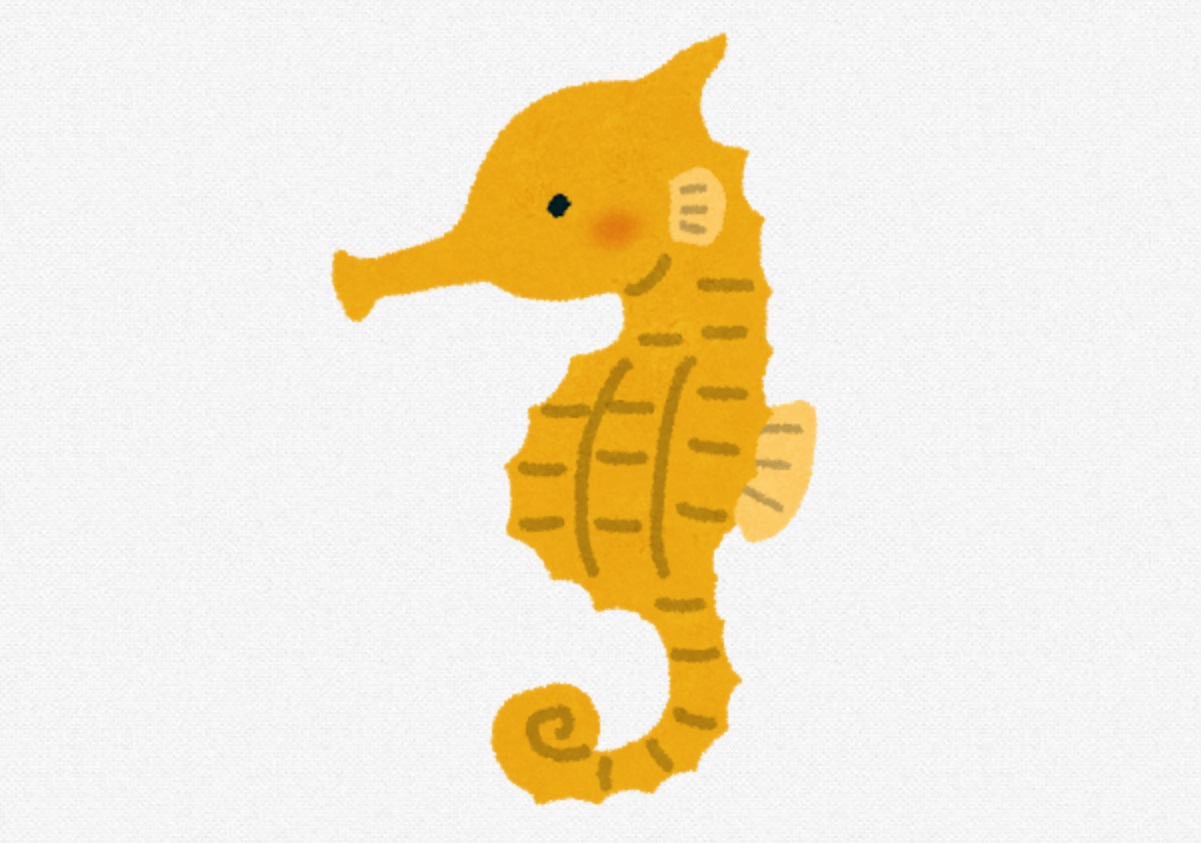 タツノオトシゴ 顔 タツノオトシゴ 顔